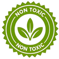 Untitled-design-50-removebg-preview